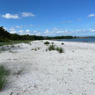 Stranden er bred i år